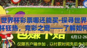 世界杯彩票哪还能买-探寻世界杯狂热，竞彩之窗——了解如何合法购买世界杯彩票