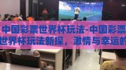 中国彩票世界杯玩法-中国彩票世界杯玩法新探，激情与幸运的碰撞