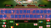 在哪能下注世界杯-点燃激情新赛季，探索世界杯期间的下注途径