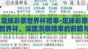 足球彩票世界杯赔率-足球彩票世界杯，深度洞察赔率的前瞻与策略