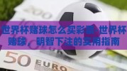 世界杯赌球怎么买彩票-世界杯赌球，明智下注的实用指南