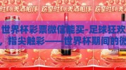世界杯彩票微信能买-足球狂欢，指尖触彩——世界杯期间的微信购彩新体验