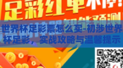 世界杯足彩票怎么买-初涉世界杯足彩，实战攻略与温馨提示