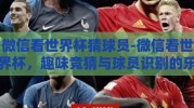 微信看世界杯猜球员-微信看世界杯，趣味竞猜与球员识别的乐趣