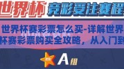 世界杯赛彩票怎么买-详解世界杯赛彩票购买全攻略，从入门到精通的实用指南