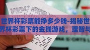 世界杯彩票能挣多少钱-揭秘世界杯彩票下的金钱游戏，理智与机遇的平衡