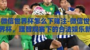 微信世界杯怎么下赌注-微信世界杯，理智观赛下的合法娱乐新风尚