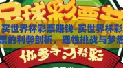 买世界杯彩票赚钱-买世界杯彩票的利弊剖析，理性挑战与梦想交汇