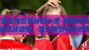 重生赌世界杯的小说-穿越时空的足球盛宴，重生赌世界杯的奇幻之旅
