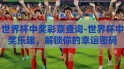 世界杯中奖彩票查询-世界杯中奖乐趣，解锁你的幸运密码