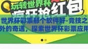 世界杯彩票那个软件好-竞技之外的奇遇，探索世界杯彩票应用的优选之道