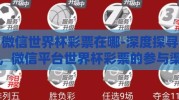 微信世界杯彩票在哪-深度探寻，微信平台世界杯彩票的参与渠道与注意事项