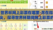世界杯网上彩票在哪里-尽在指尖，探寻世界杯期间网上彩票的合法与安全渠道