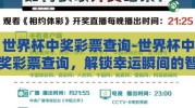 世界杯中奖彩票查询-世界杯中奖彩票查询，解锁幸运瞬间的智慧指南