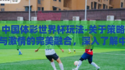 中国体彩世界杯玩法-关于策略与激情的完美融合，深入了解中国体彩世界杯玩法的探索与体验