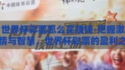 世界杯彩票怎么买赚钱-把握激情与智慧，世界杯彩票的盈利之道