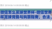 微信怎么买球世界杯-微信世界杯足球竞猜与购票指南，合法、安全、便捷的参与方式