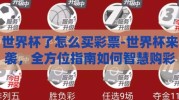 世界杯了怎么买彩票-世界杯来袭，全方位指南如何智慧购彩