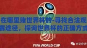 在哪里赌世界杯的-寻找合法观赛途径，探询世界杯的正确方式