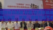 世界杯预选赛 彩票-世界杯预选赛与彩票，梦想、激情与运气的碰撞