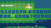 在北京赌世界杯-繁华首都的体育激情，北京视角下的世界杯赌博现象剖析