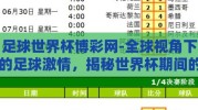 足球世界杯博彩网-全球视角下的足球激情，揭秘世界杯期间的博彩网现象