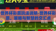 世界杯彩票玩法说明-世界杯彩票，策略与智慧的交汇点
