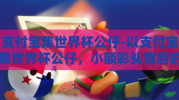 支付宝集世界杯公仔-以支付宝集世界杯公仔，小额彩头背后的社交狂欢与期待