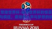 想赌世界杯-探寻世界杯的惊喜与疯狂，愿赌的心声与梦想的轨迹