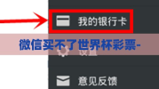 微信买不了世界杯彩票-