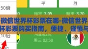微信世界杯彩票在哪-微信世界杯彩票购买指南，便捷、谨慎与合法性考量