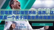 在哪里可以赌世界杯-当然，这里是一个关于探索世界杯观赛乐趣与合法平台的原创文章草稿