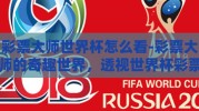 彩票大师世界杯怎么看-彩票大师的奇趣世界，透视世界杯彩票的智慧之眼