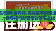 彩票网 世界杯-探寻数字的幸运，世界杯与彩票网的不解之缘