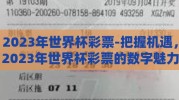 2023年世界杯彩票-把握机遇，2023年世界杯彩票的数字魅力与市场评析