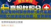 支付宝如何买世界杯-支付宝如何助力球迷轻松购票，世界杯观赛之旅的便捷之门