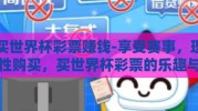 买世界杯彩票赚钱-享受赛事，理性购买，买世界杯彩票的乐趣与风险