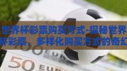 世界杯彩票购买方式-探秘世界杯彩票，多样化购买方式的奇幻旅程
