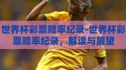 世界杯彩票赔率纪录-世界杯彩票赔率纪录，解读与展望