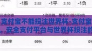 支付宝不能投注世界杯-支付宝，安全支付平台与世界杯投注的理性界限
