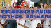足球彩票世界杯赔率-足球彩票与世界杯赔率，激战与策略的较量