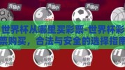 世界杯从哪里买彩票-世界杯彩票购买，合法与安全的选择指南
