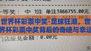 世界杯彩票中奖-足球狂潮，世界杯彩票中奖背后的奇迹与幸运