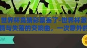 世界杯竞猜彩票丢了-世界杯激情与失落的交响曲，一次意外的竞猜彩票之旅
