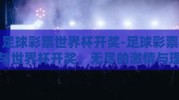 足球彩票世界杯开奖-足球彩票与世界杯开奖，无尽的激情与理性的碰撞