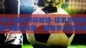 怎么赌世界杯的球-探索足球激情与理性决策，明智参与世界杯竞猜的指南