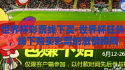 世界杯彩票线下买-世界杯狂热，线下购买彩票的激情瞬间