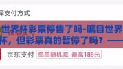 世界杯彩票停售了吗-瞩目世界杯，但彩票真的暂停了吗？——全球瞩目赛事下的国民娱乐选择解析