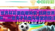 世界杯彩票在哪购买-玩转世界杯，一场关于热血与希望的投注之旅——揭秘世界杯彩票购买指南