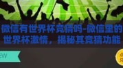 微信有世界杯竞猜吗-微信里的世界杯激情，揭秘其竞猜功能